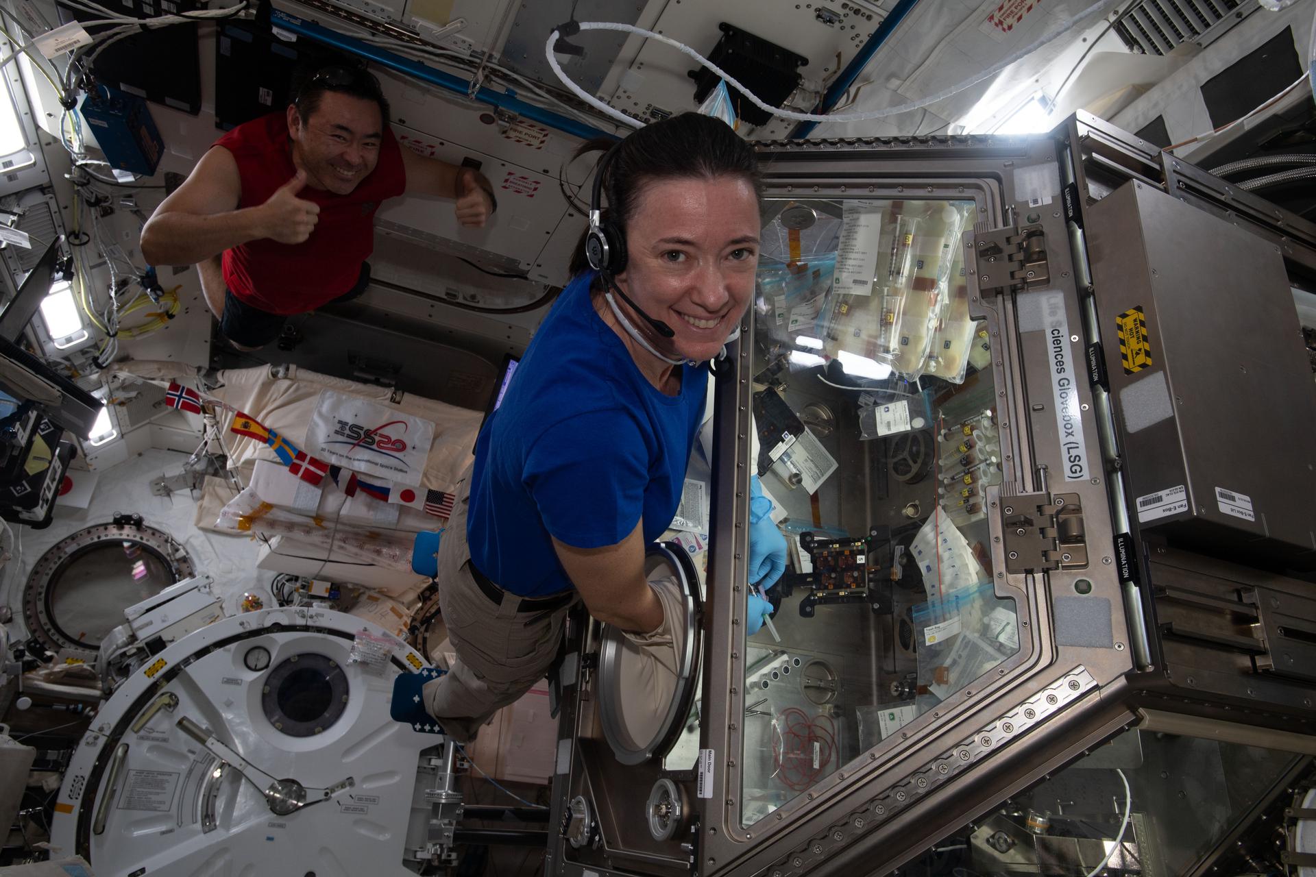 McArthur, in the foreground wearing a short-sleeved blue shirt, khaki pants, and a headset, has her arms inside a large, clear experiment box that has multiple sample bags attached to its side. Hoshide, wearing a red sleeveless shirt, is giving two thumbs-up in the background. There is a large, circular hatch between them and a storage bag with an “ISS 20” patch on it and a string of flags from international partners across it.