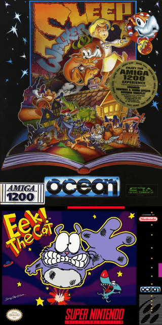 Today I learned that Charity Telethon Escort Platformer Sleepwalker got turned into a SNES game with an Eek The Cat license.