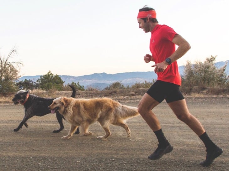 stern-running-with-dogs-Les-Morales.jpg