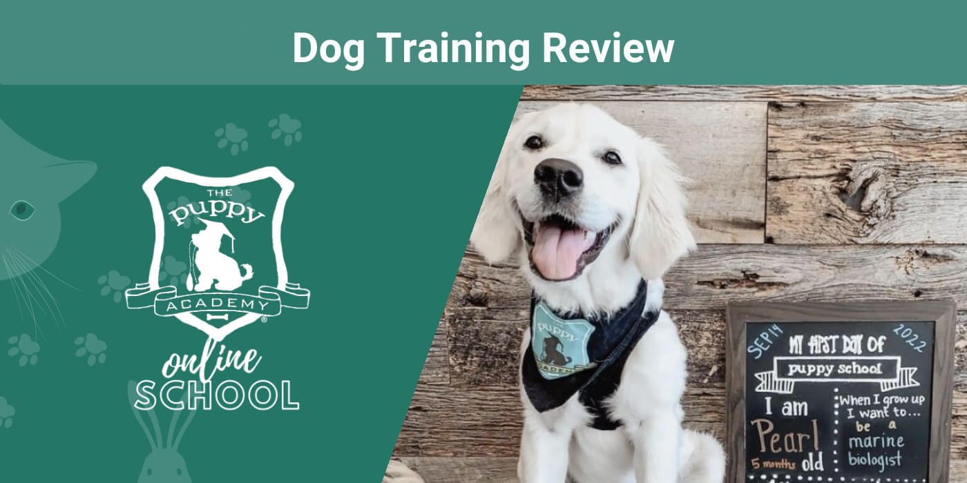 PK_SAPR_The-Puppy-Academy-Dog-Training.jpg
