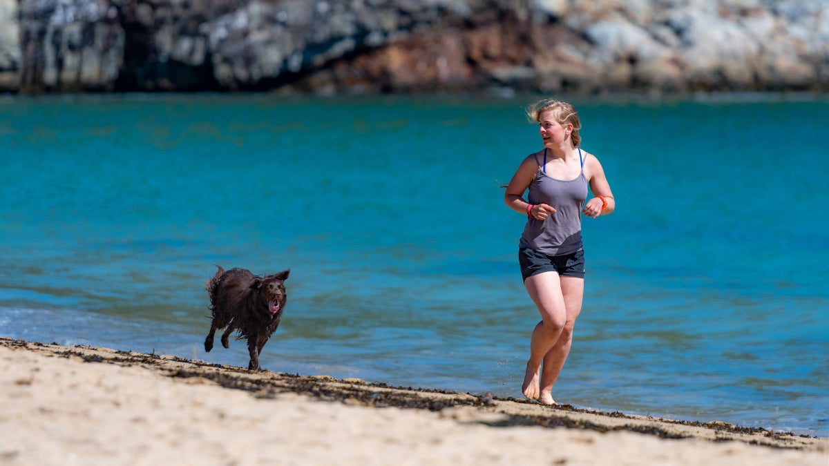 Running with Your Dog Is Good for Your Health, According to Science