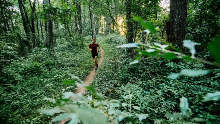 how to track trail running progress